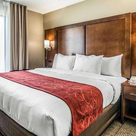 Comfort Suites Dunnellon Near Rainbow Springs Exteriör bild